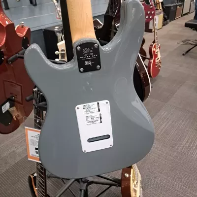 Store Special Product - PRS SE Silver Sky